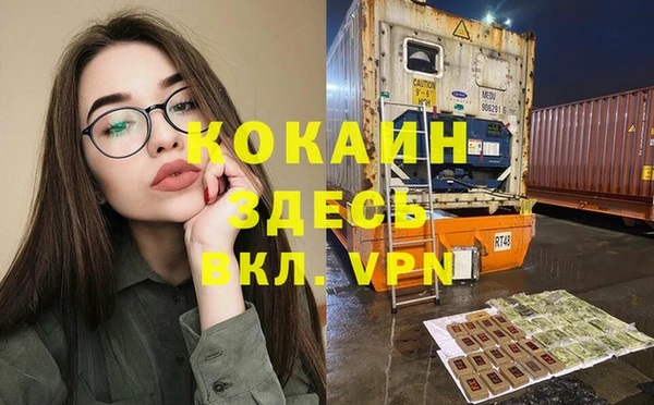 стаф Кулебаки
