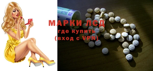 индика Краснослободск