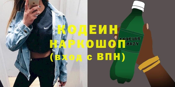 индика Краснослободск