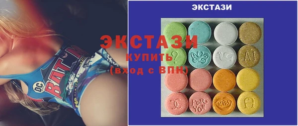 индика Краснослободск