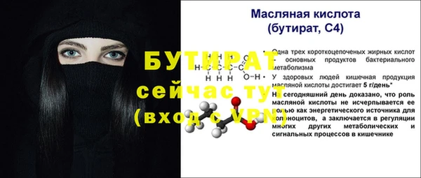 стаф Кулебаки