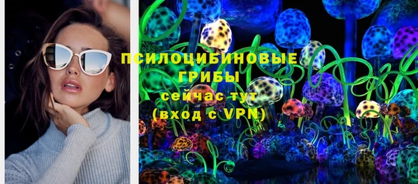 стаф Кулебаки