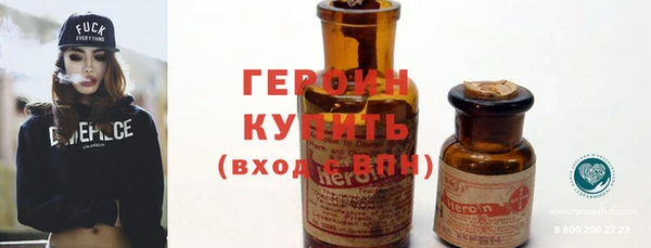 индика Краснослободск
