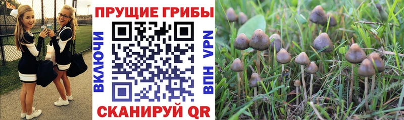 MEGA ссылки  закладка  Кохма  Галлюциногенные грибы прущие грибы 