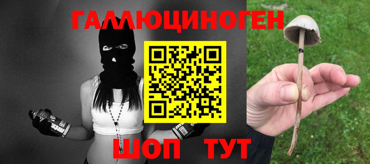 Галлюциногенные грибы мухоморы  Вход с VPN  Кохма 